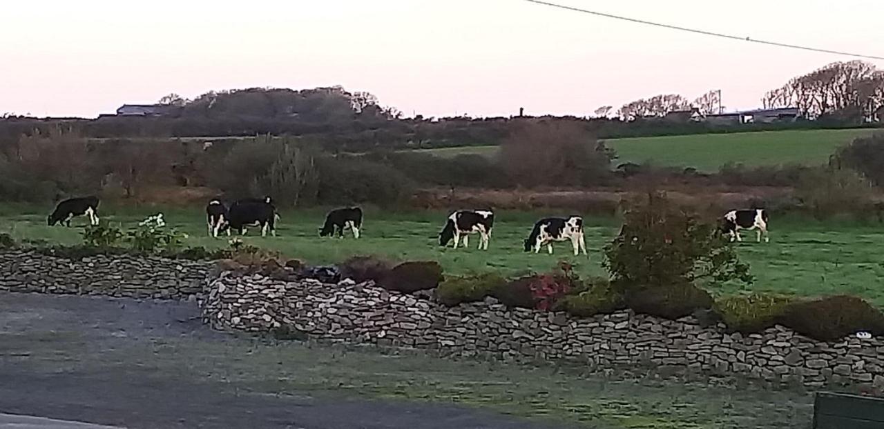 Murphys Irish Farmhouse Tralee Eksteriør billede